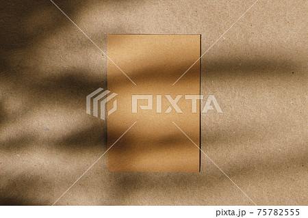 Foliage shadow on paper background with business card Foliage shadow on paper background with business card 75782555