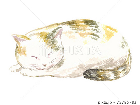 お昼寝しているネコの水彩イラストのイラスト素材
