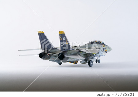 プラモデル タミヤ 1/48 グラマン F-14A トムキャット 白背景3 プラモデル タミヤ 1/48 グラマン F-14A トムキャット 白背景3 75785801