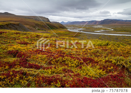 Autumn tundra 75787078
