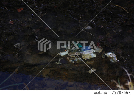 長野市高田　北八幡川 75787663