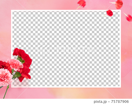 Pink watercolor textured frame with carnations-there are multiple variations Pink watercolor textured frame with carnations-there are multiple variations 75787906