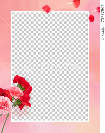 Pink watercolor textured frame with carnations-there are multiple variations Pink watercolor textured frame with carnations-there are multiple variations 75787907