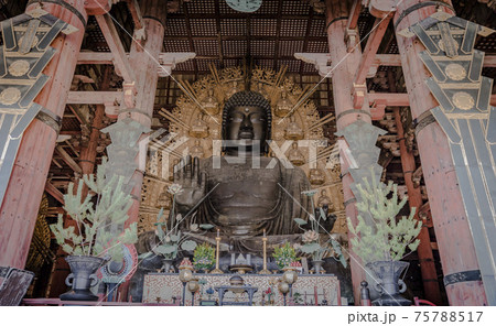 The lord called Buddha 75788517