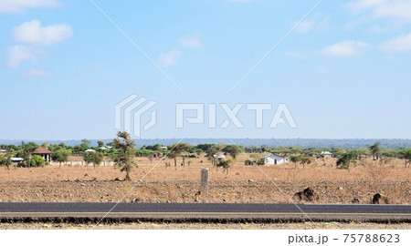 アフリカ・タンザニア アフリカ・タンザニア 75788623