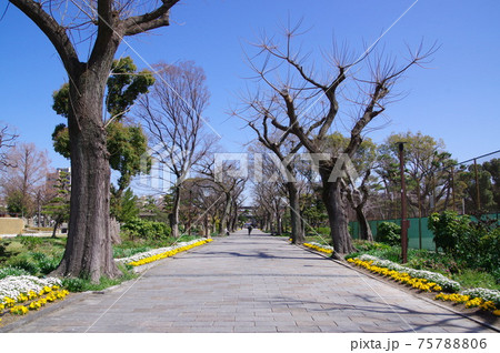 大阪で最も歴史のある公園 住吉公園 大阪で最も歴史のある公園 住吉公園 75788806