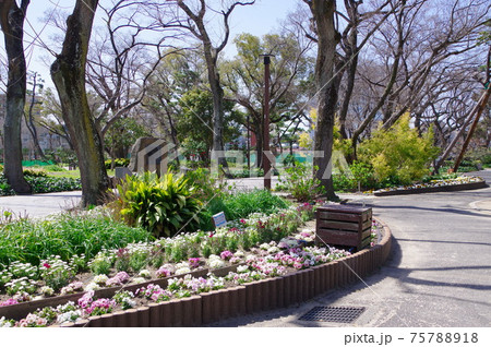 大阪で最も歴史のある公園　住吉公園 75788918