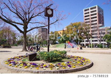 大阪で最も歴史のある公園 住吉公園 大阪で最も歴史のある公園 住吉公園 75788919