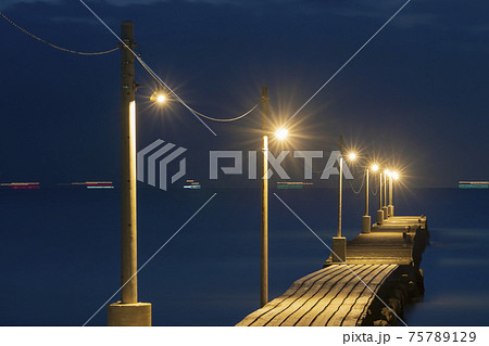 【千葉県】南房総 原岡桟橋（薄暮） 75789129