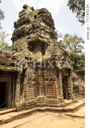 Ta Prohm temple in Angkor Wat Ta Prohm temple in Angkor Wat 75789234