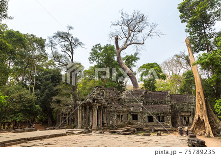 Ta Prohm temple in Angkor Wat 75789235