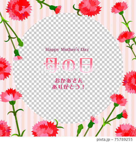 Mother's Day background frame carnation Mother's Day background frame carnation 75789255