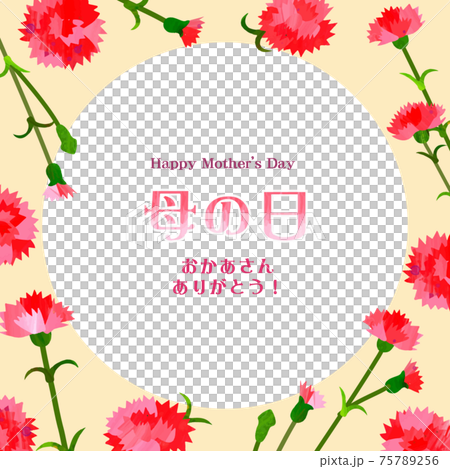 Mother's Day background frame carnation Mother's Day background frame carnation 75789256