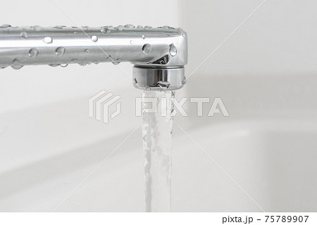 Image photo 75789907