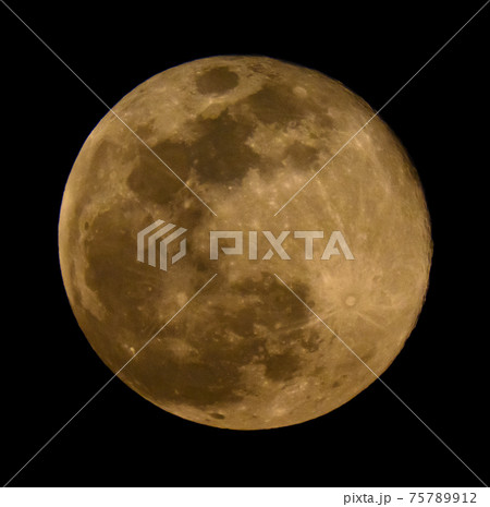 Image photo Image photo 75789912