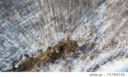 a tractor with machines in a forest in winter for cutting trees 75790530
