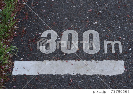 300m 300m 75790562