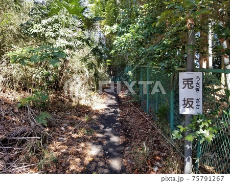 溝の口 久本 散策 馬坂 兎坂 曙橋 溝の口 久本 散策 馬坂 兎坂 曙橋 75791267