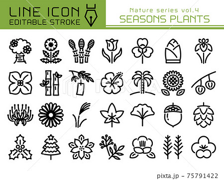 ラインアイコン 自然シリーズvol 4 季節の植物のイラスト素材