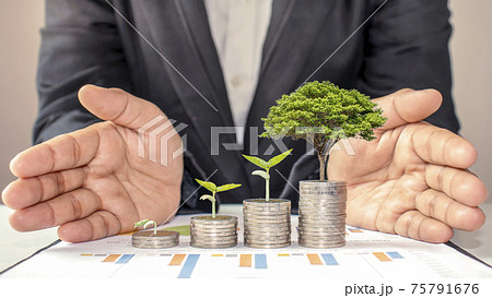The tree grows on a pile of coins, including the hands of a curated investor, managing financial and business investment growth ideas. 75791676