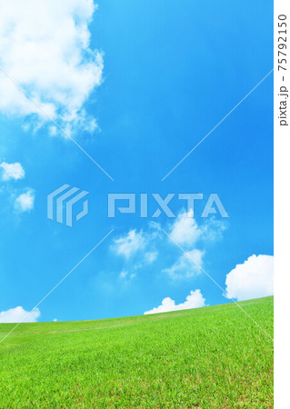 夏の青空と新緑の草原風景 75792150