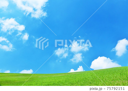 夏の青空と新緑の草原風景 夏の青空と新緑の草原風景 75792151