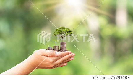 Plant the seedlings on a pile of coins or money in human hands, including natural green backgrounds, agricultural concepts, and investments. 75793103