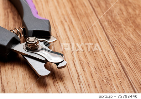 Dog claws scissors on a wooden table 75793440