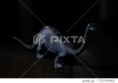 Black small dinosaur in darkness, non-existent animal 75793462