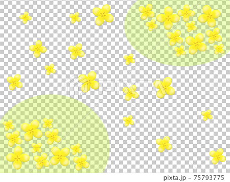 強姦開花 75793775