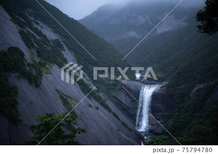 もののけの森のような屋久島の森と千尋の滝　 75794780