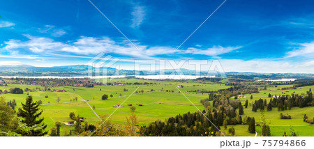 Green fields in Bavaria  in Germany 75794866