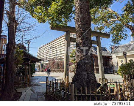 小村井香取神社 75795311