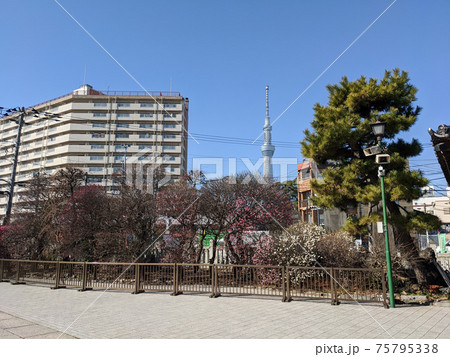 小村井香取神社 小村井香取神社 75795338