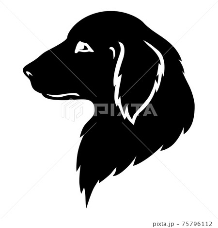 Dog Golden Retriever Head Silhouetteのイラスト素材