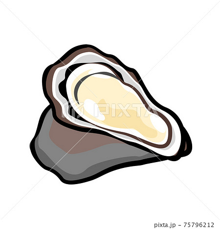 牡蛎 かき カキ オイスター イラスト素材のイラスト素材