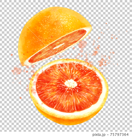 カットされたブラッドオレンジと果汁の飛沫のイラストのイラスト素材