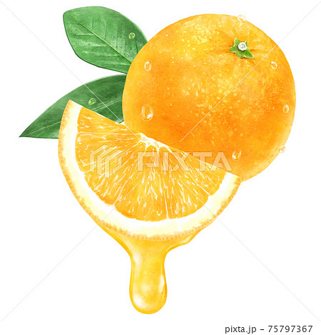 みずみずしいカットされたオレンジと果汁のイラストのイラスト素材