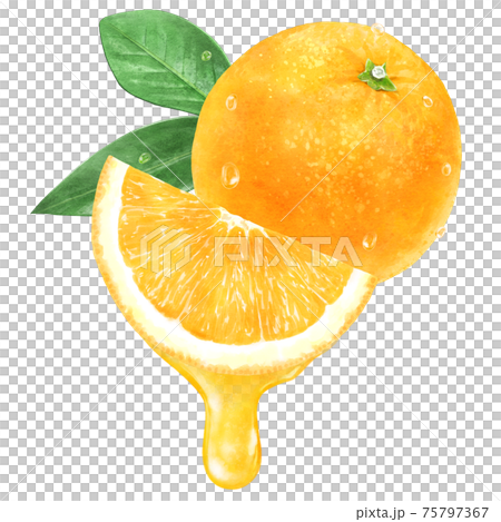 みずみずしいカットされたオレンジと果汁のイラストのイラスト素材