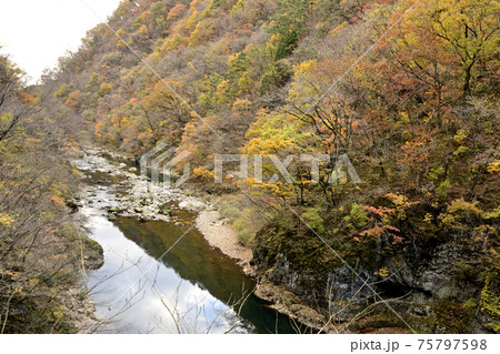 秋の抱返り渓谷、川面への映り込み 秋の抱返り渓谷、川面への映り込み 75797598