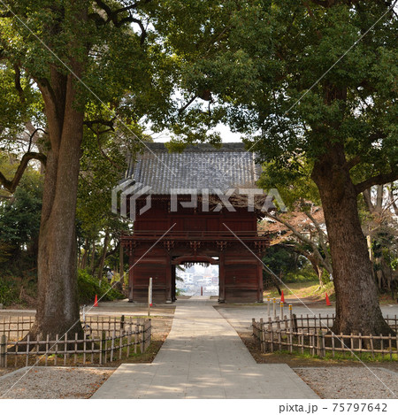 真間山弘法寺、境内と仁王門 真間山弘法寺、境内と仁王門 75797642