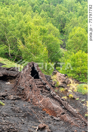 Outside view of Serracozzo volcanic cave on mount Etna, Italy 75797782