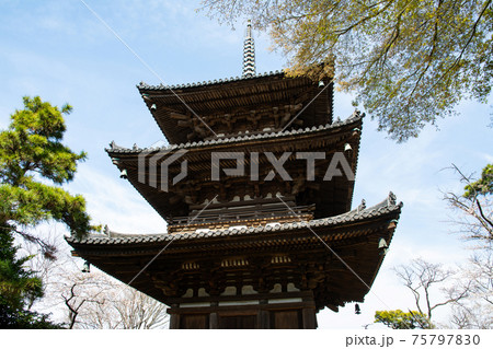 三渓園　三重塔 75797830