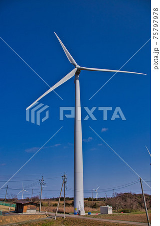 北潟湖畔ー風車 北潟湖畔ー風車 75797978