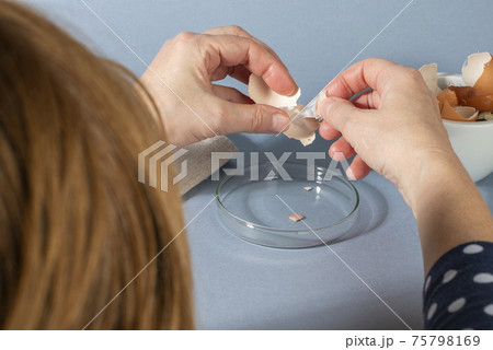Women hands remowing eggshell membrane. Zero waste cosmetics. 75798169