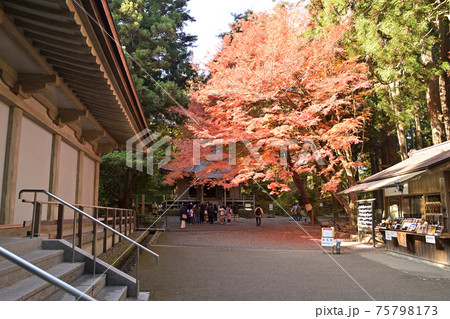 中尊寺 経蔵前の紅葉 75798173