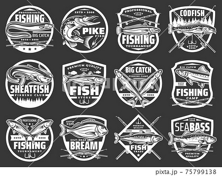 Fishing vector icons with sea eel, pike and hake 75799138