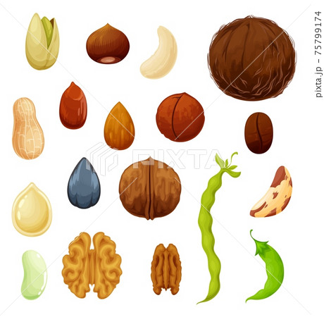 Nuts and beans, cashew, almond, green pea, coconut 75799174
