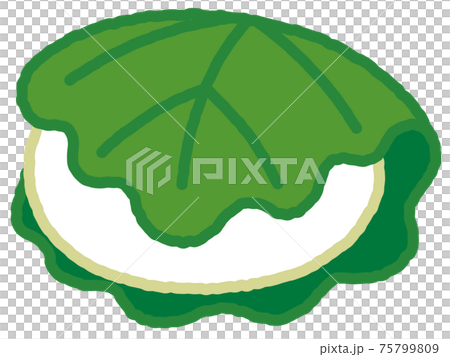 かしわ餅 75799809