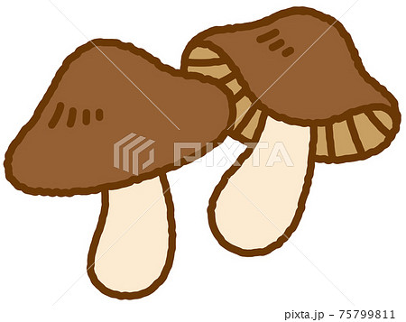 きのこ 75799811